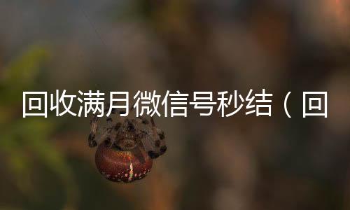 回收满月微信号秒结(回收一个月微信号)