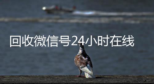 回收微信号24小时在线秒结（2020回收微信号的联系方式）