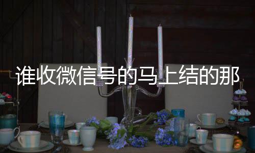 谁收微信号的马上结的那种(收微信号秒结老板)