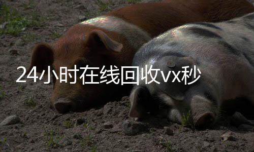24小时在线回收vx秒结(24小时回收微信在线交易)